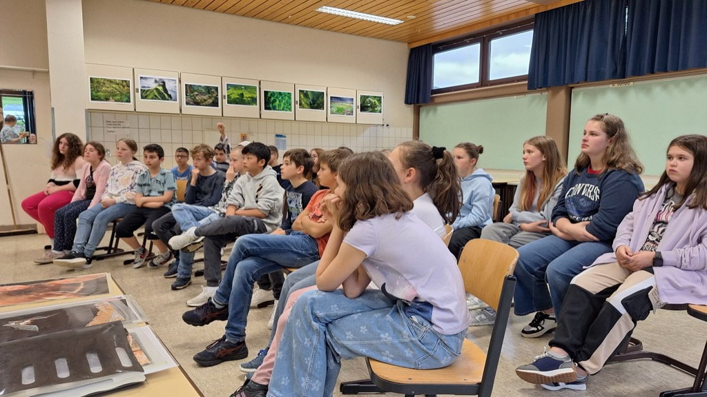 Eine Schulklasse auf Stühlen im Klassenzimmer folgt dem Unterricht