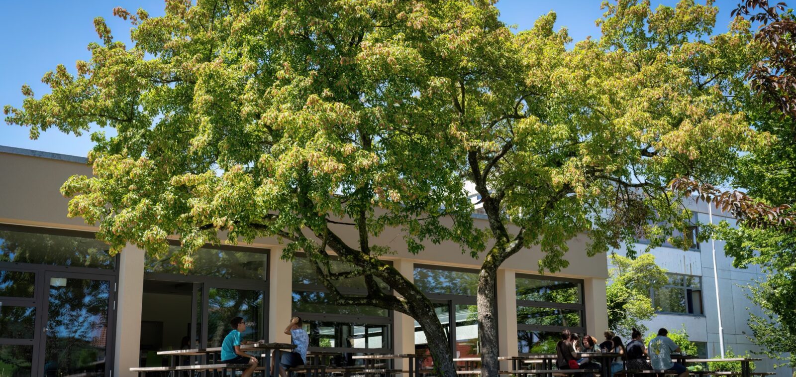 Mensagebäude mit Außenbereich wo ein paar Schüler unter Bäumen sitzen und essen