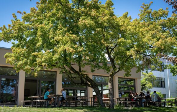 Mensagebäude mit Außenbereich wo ein paar Schüler unter Bäumen sitzen und essen